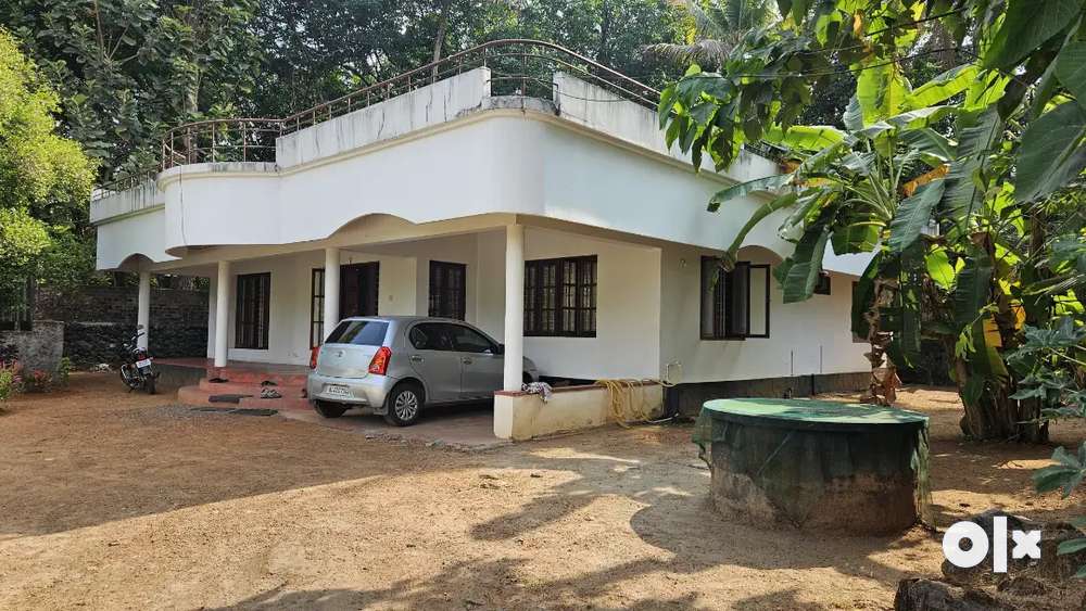 House for sale Angamaly near St Jude church 11 cents 57 lakhs 3 bhk