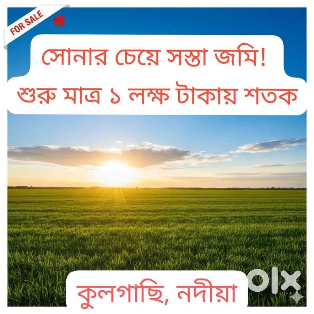 সোনার চেয়ে সস্তা জমি! শুরু মাত্র ১ লক্ষ টাকায় শতক