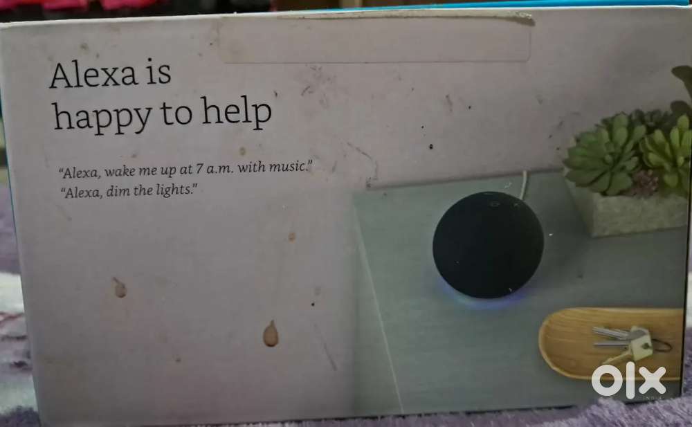 Echo Dot from Amazon Alexa