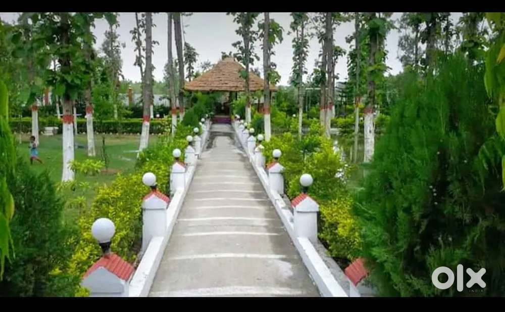 1280 Bigha Township Land – Residential, Commercial & Farmhouse Plots