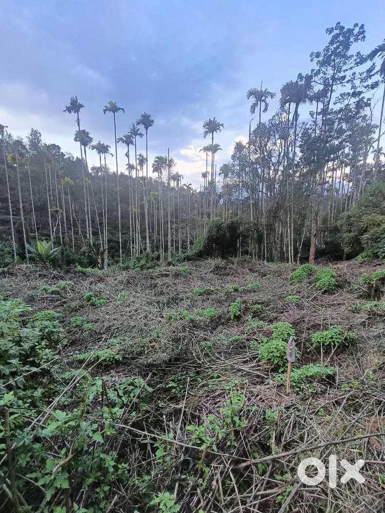 10cent plot for sale in Meppadi