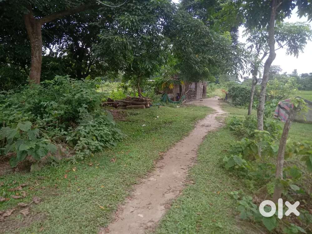 residential and commercial square size land