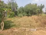 Plot sale urgent due to shift another city