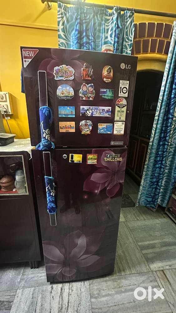 LG Double Door 308 Litre (Model No - GLT322RSOU)(Model Year - 2018)