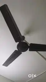 Fan for sale only genuine send txt