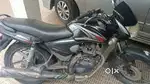 Honda shine bike