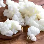 Milk kefir grains for sale