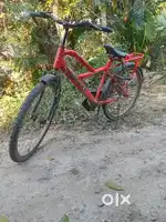 Stryder cycle