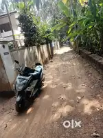 Yamaha/Ray Z