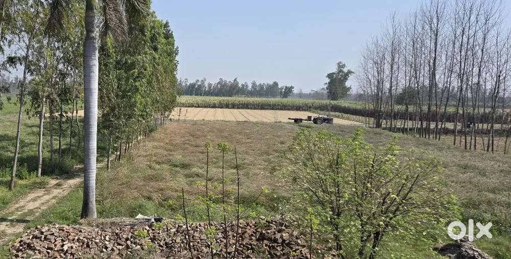 Farm for sale