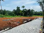 8 cent plot near Kadayiruppu