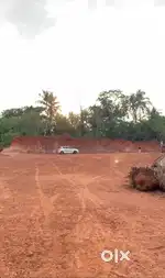 Plot for sale 63 cent palliparamb
