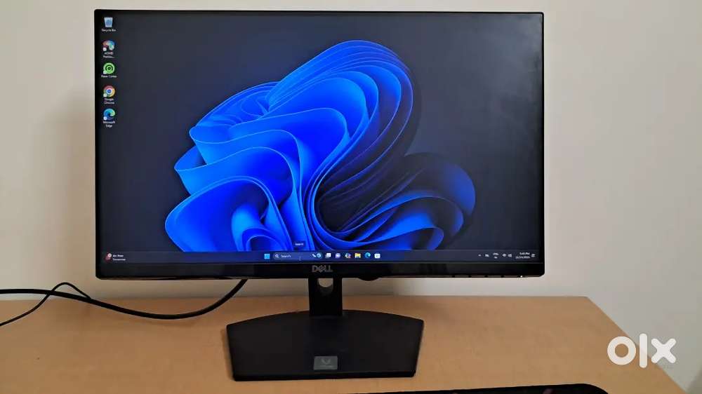Monitor and gaming CPU