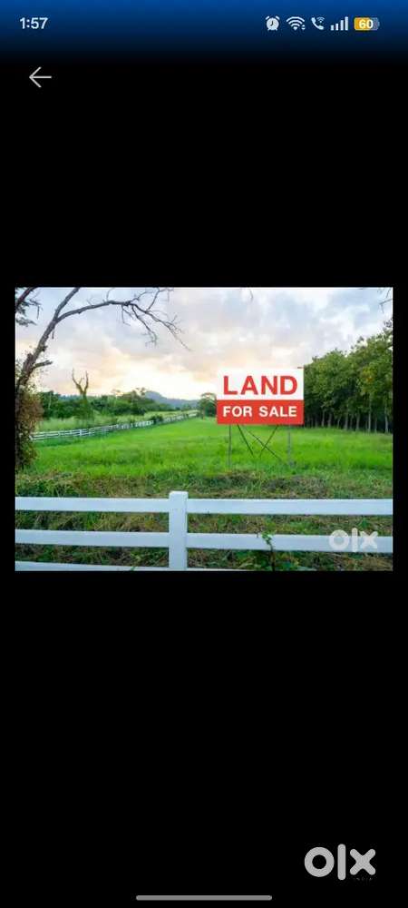 25 cent plot near Skyline Nakshathra Villas, Peyad