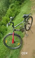 Gang - Sky Rock for SALE