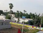 Limited plots for sale in Families staying venture
