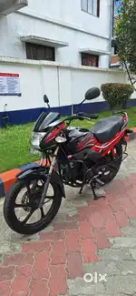 Hero passion pro fdds