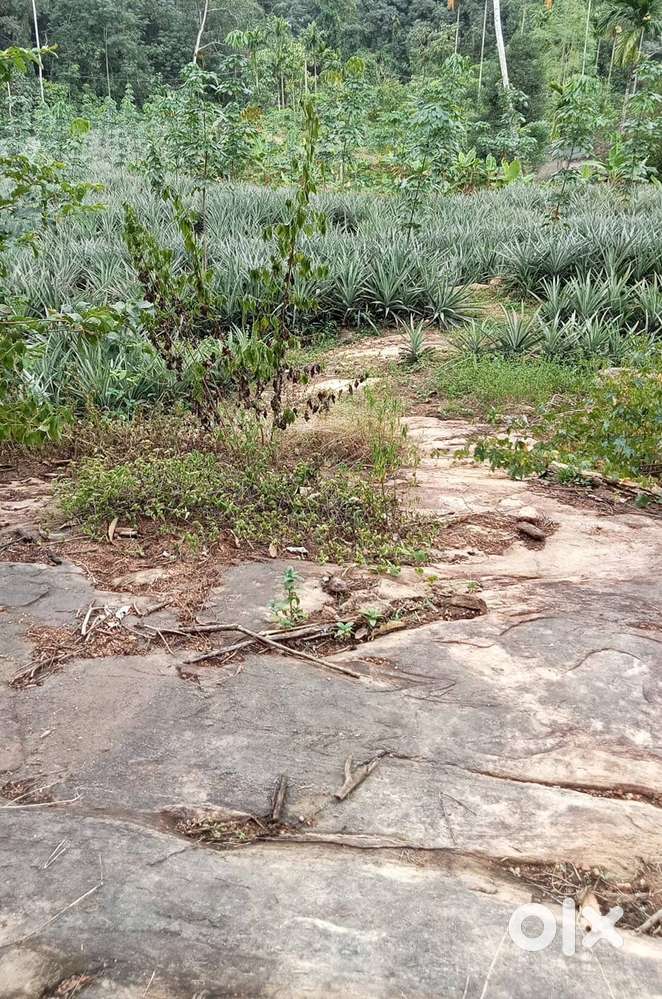 കേരളത്തിൽ പാറമടക്കു സ്ഥലം ആവിശ്യം ഉണ്ട്.