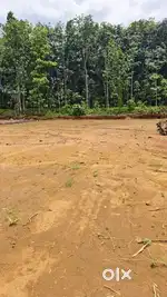 ഭരണങ്ങാനം ടൗണിന് സമീപം ഹൗസ് പ്ലോട്ടുകൾ വിൽപ്പനയ്ക്ക്