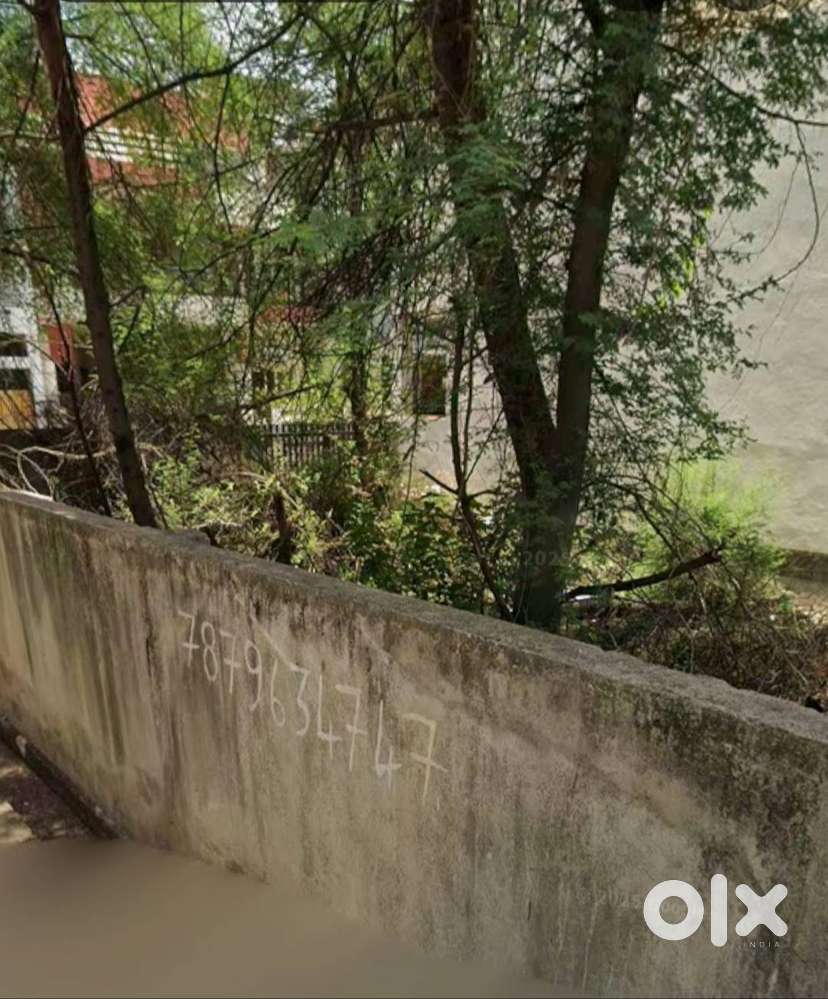 15/10L.P bhargavnagar Price25000 rs per sqt. Ft. Total price= 41250000