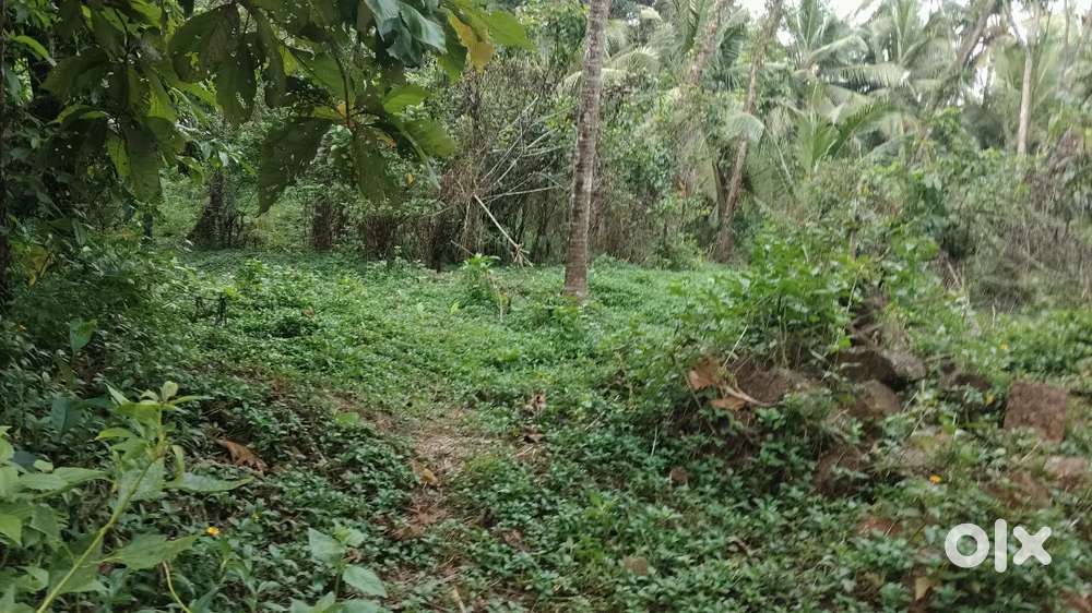 House plot for sale at valiyanur
