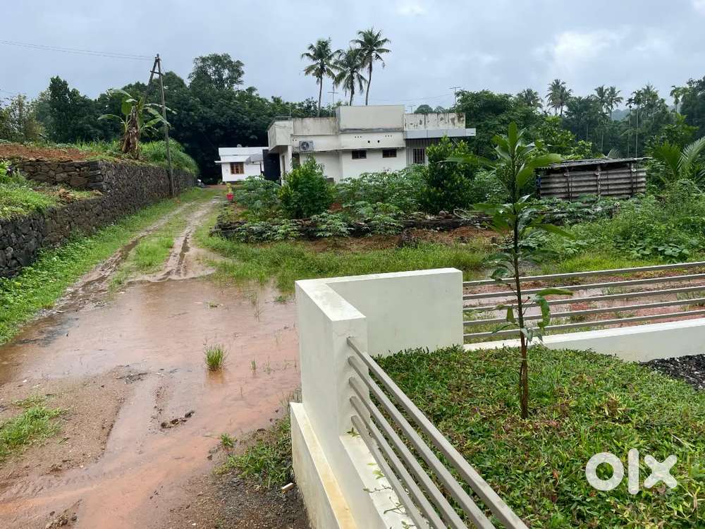 ## Chelad ayyappanmudi plot for sale