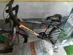 Fat tire ranger