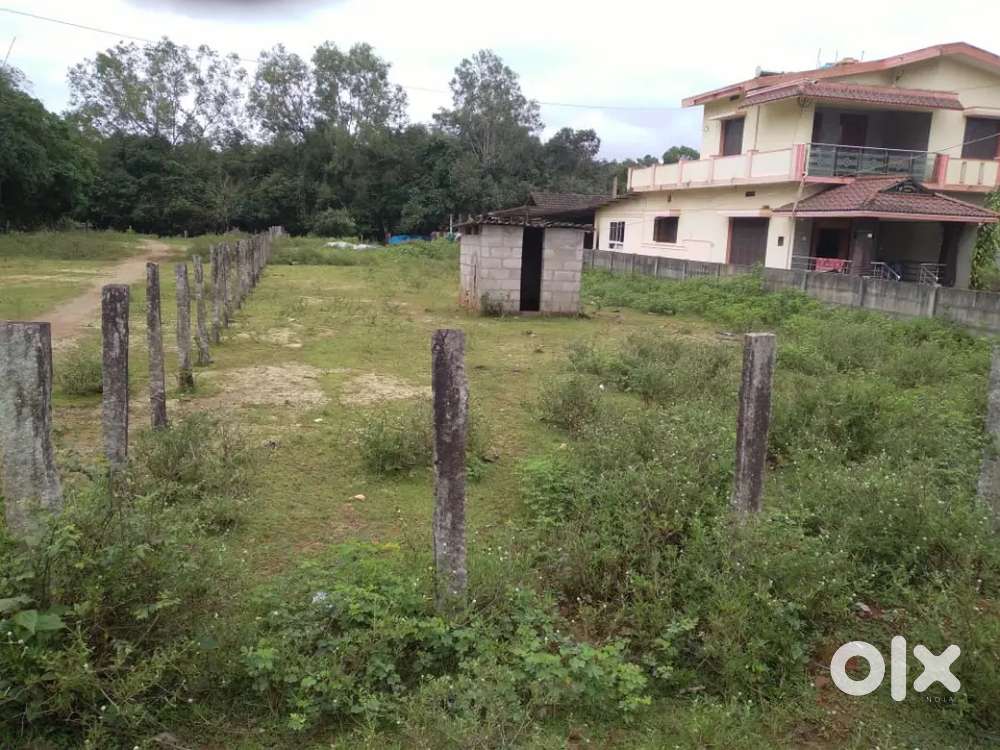 Long site on Main road between Thirthalli to Konandur near Araga