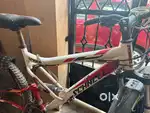 SCHNCLL SPIDER cycle 3 yrs old