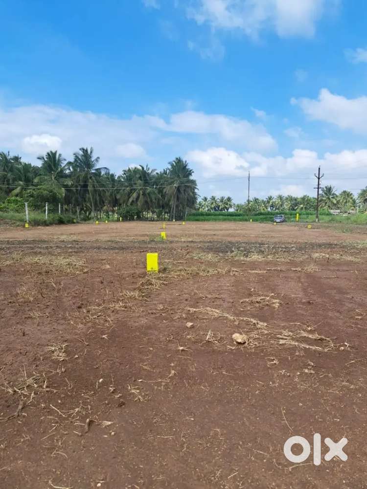 Only few plots available-kinathukadavu,chettipalayam