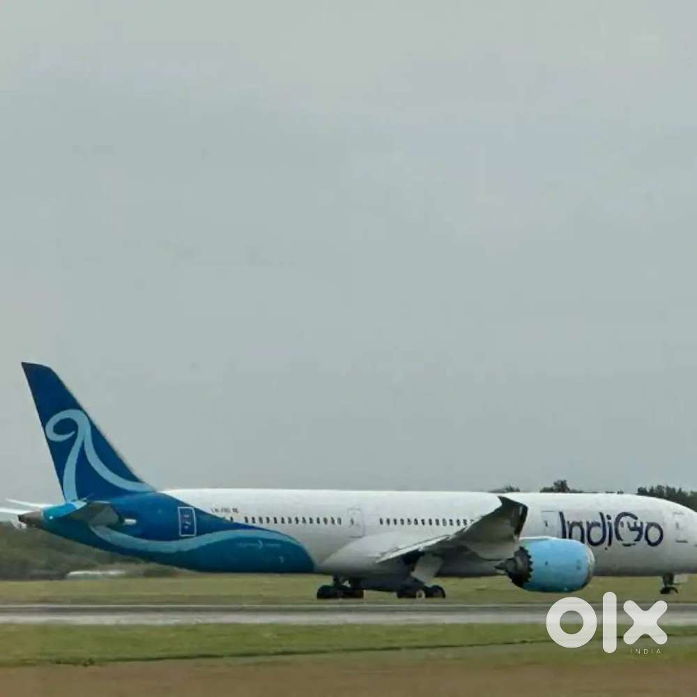 Now We Are Hiring For Ground Staff Jobs In IndiGo Airlines Apply Fast