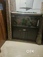 Fish tank in good condition