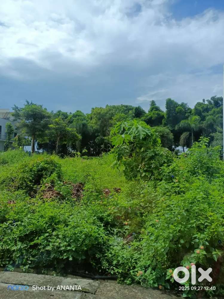 PLOT FOR SALE COVERED CAMPUS