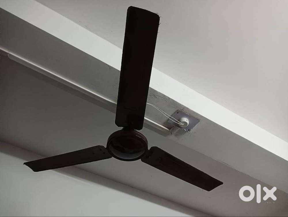 Fan ceiling quantity 3