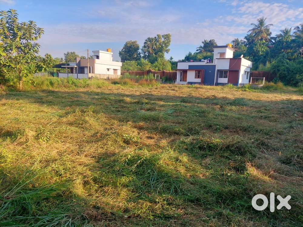 15cns land near Surathkal madya padavu