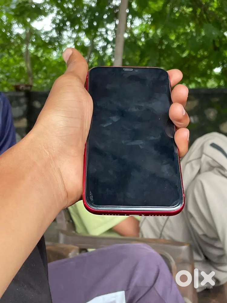iPhone 11 all okay