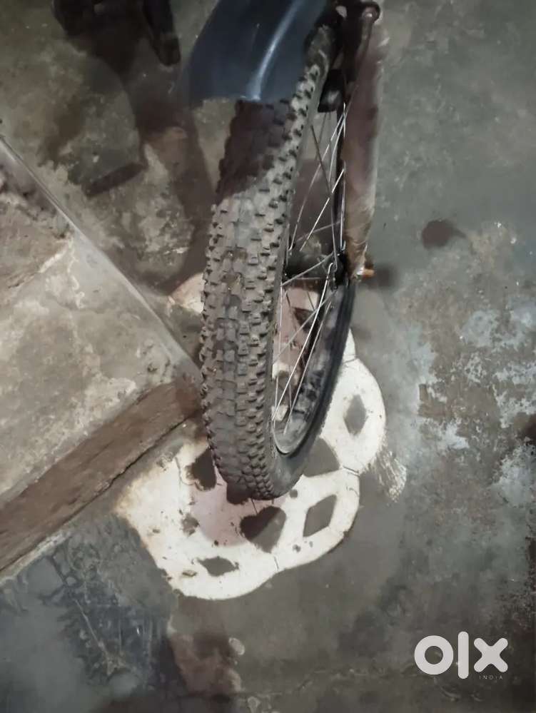 Good condition 2 month old Crazy  Company