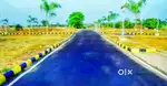 I want to sell my plot