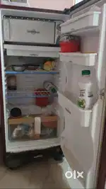 Electrolux Singel Dore Refrigerator