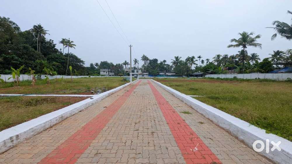 Residential Plot Near Kidangoor,Angamaly-Non-Flooded Dry Land-Free Reg