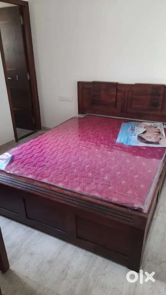 Girl ROOMMATE required