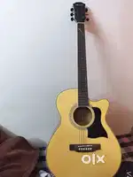 Acoustic Guitar