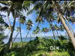 The PLOT in padappakara,kollam 50 cent FOR   SALE