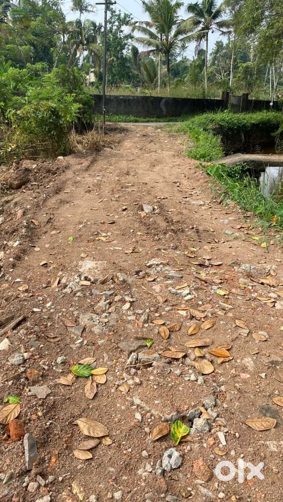 Sale plotandsmall house