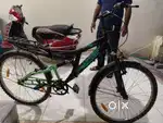 Brand new condition