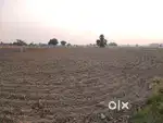 Real Estate