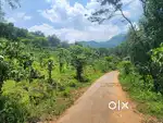 19 ACER COFFEE EASTATE FOR SALE &WAYANAD (MYSORE ROAD)