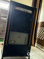 Cooler Ramata 1 yrs old