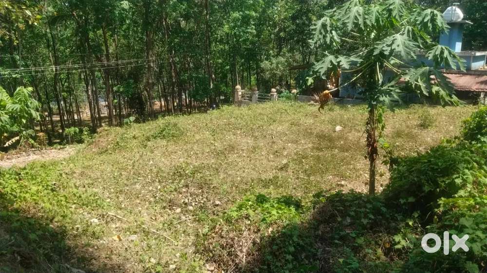 10 cents of Residential plot for sale at Poomala, Thrissur