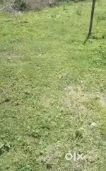 8.5 KATA VACANT LAND FOR SALE